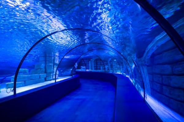 ANTALYA AQUARIUM TOUR and WAX Museum
